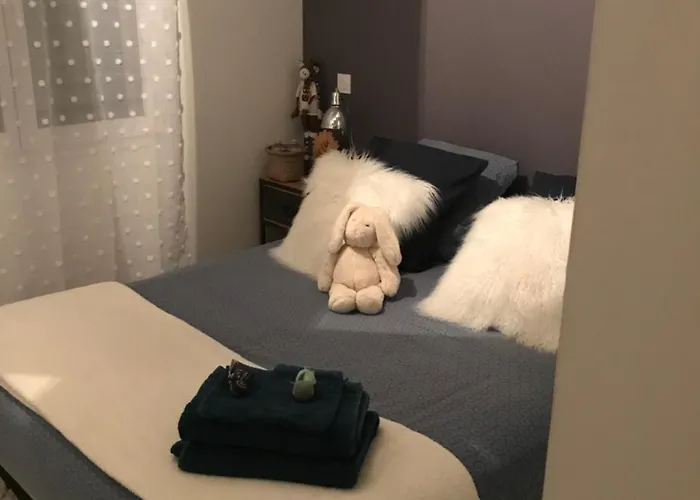 Guest house Maison A Partager Avec L'hote Digne-les-Bains